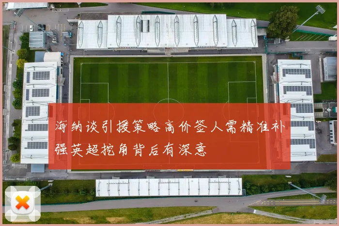 海纳谈引援策略高价签人需精准补强英超挖角背后有深意